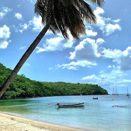 Grande AnseChez Marie Andre Et Jeanneアパートメント エクステリア 写真